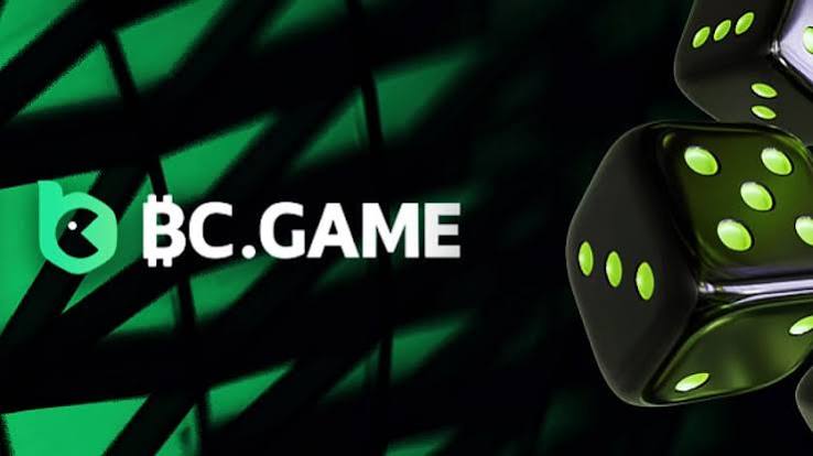 BC Platform App Revolutionizing Business Management BC Platform App Revolutionizing Business Management