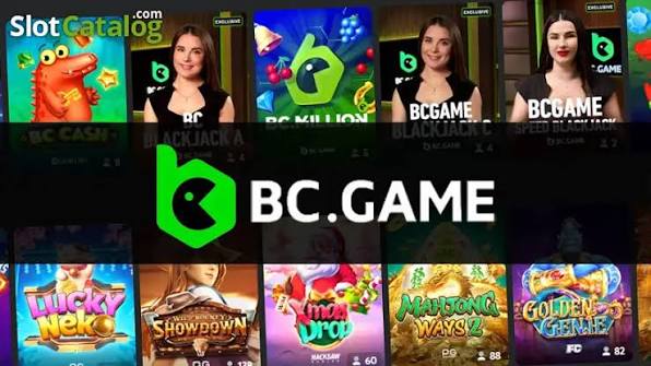 BC Platform App Revolutionizing Business Management BC Platform App Revolutionizing Business Management