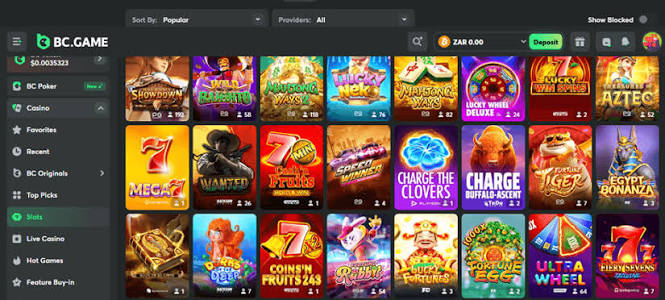 Exploring BC.Game Deposit Options A Comprehensive Guide